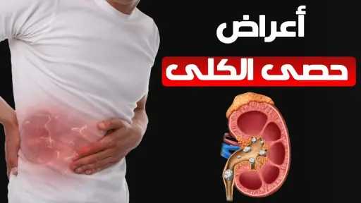 الأخبار