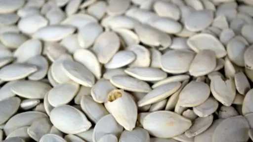 الصحة
