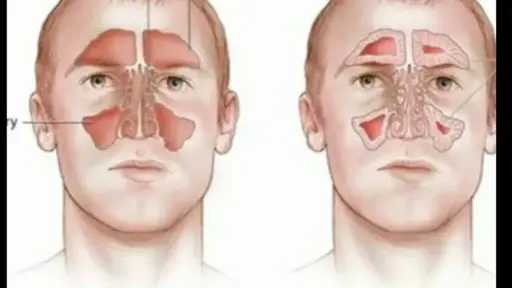 الأخبار
