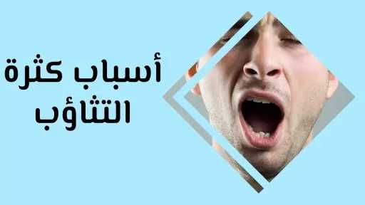 الأخبار