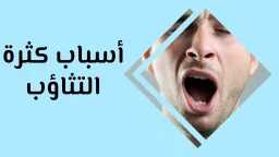 الأخبار