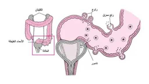 الصحة