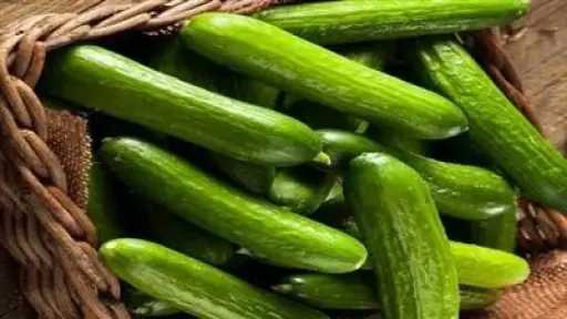الأخبار