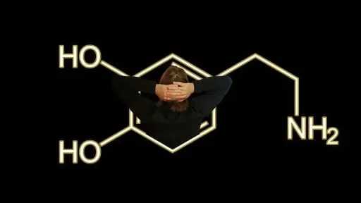الأخبار