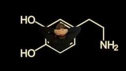 الأخبار