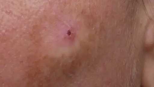 الأخبار