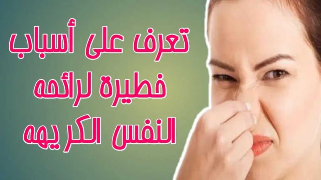 الأخبار