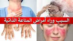 الأخبار