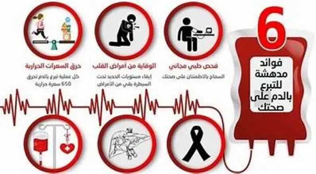 الأخبار