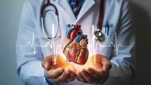 الأخبار