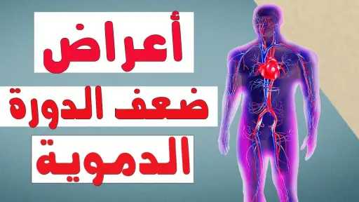 الأخبار