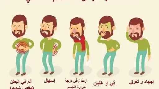 الأخبار