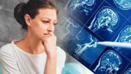 الأخبار