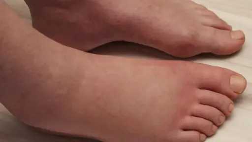 الأخبار