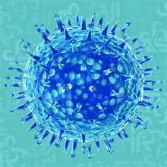 الأخبار