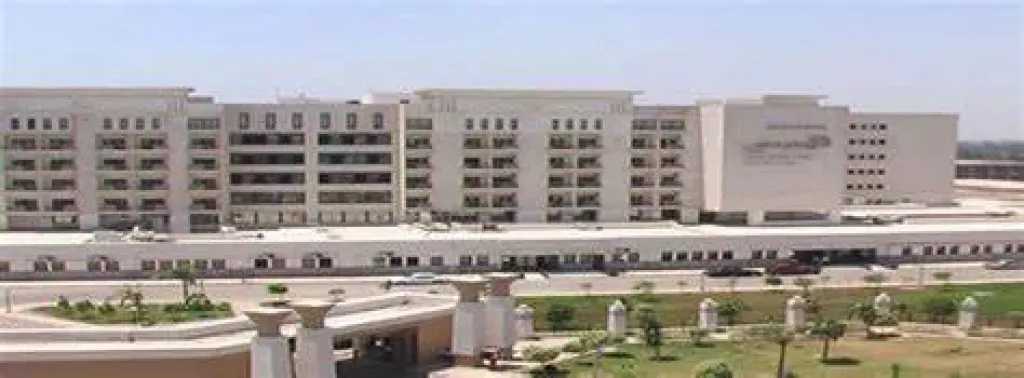 الأخبار