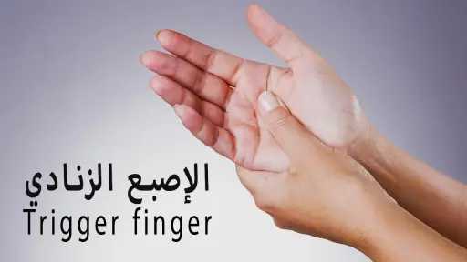 الأخبار