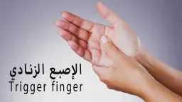 الأخبار