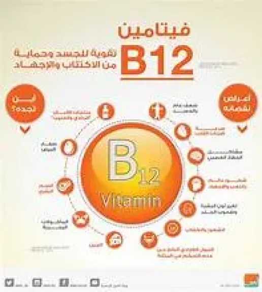الأخبار