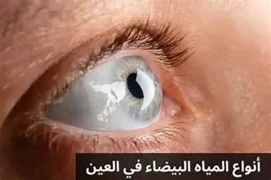 الأخبار