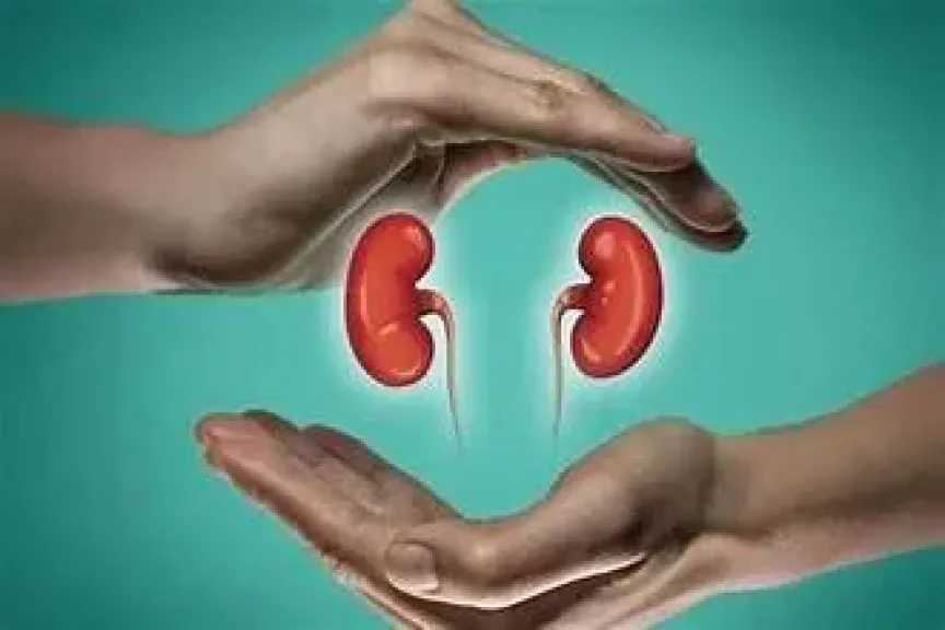 الأخبار