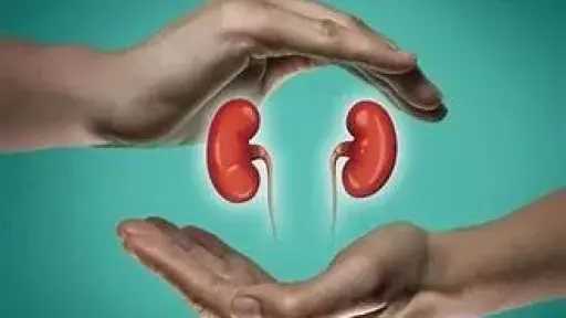 الأخبار