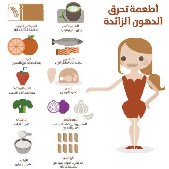 التغذية والدايت