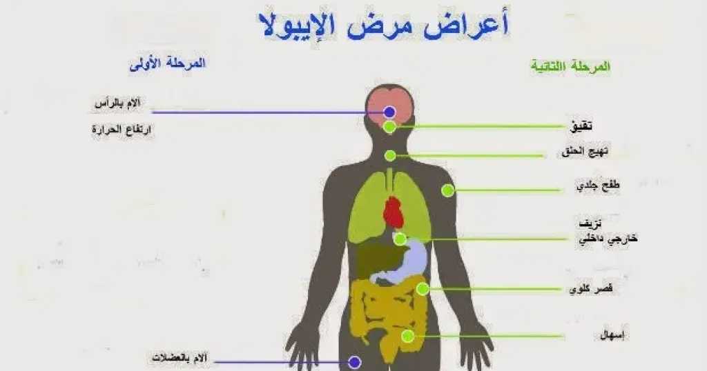 الأخبار