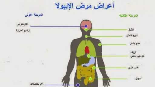 الأخبار
