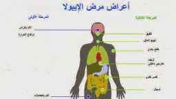 الأخبار