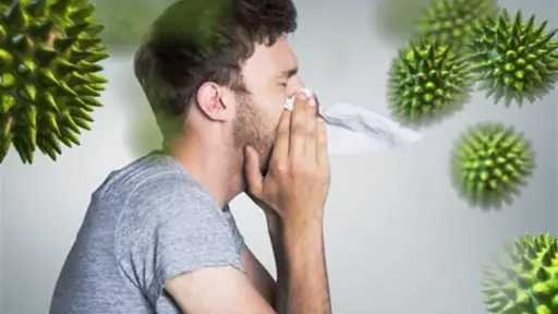 الأخبار