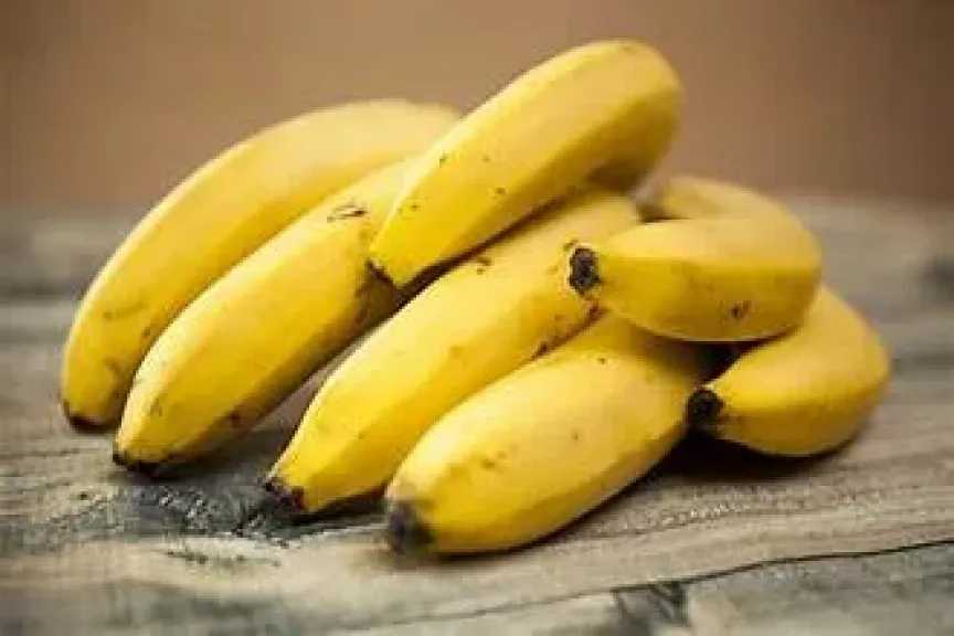 الأخبار