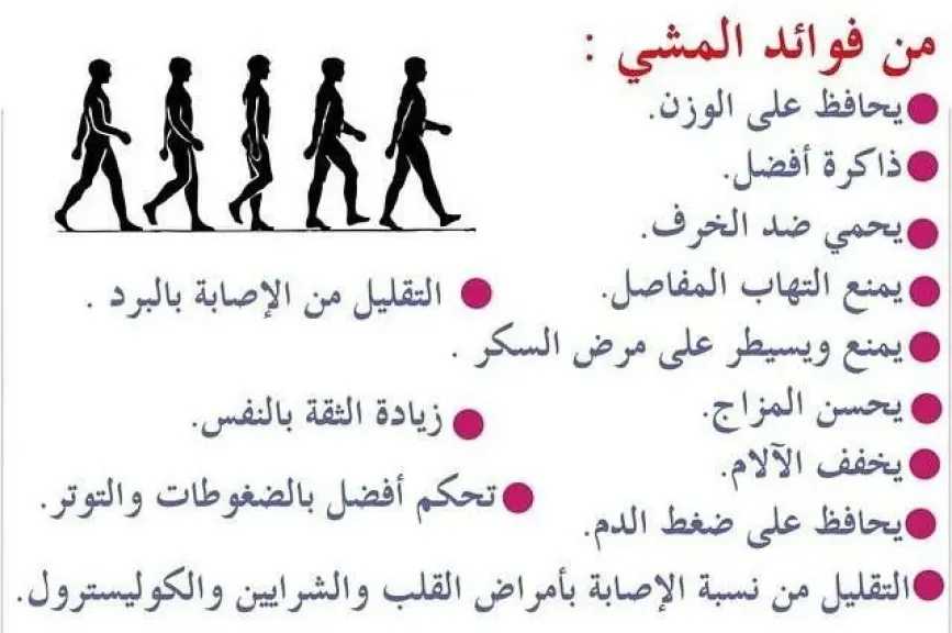 الأخبار