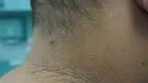الأخبار