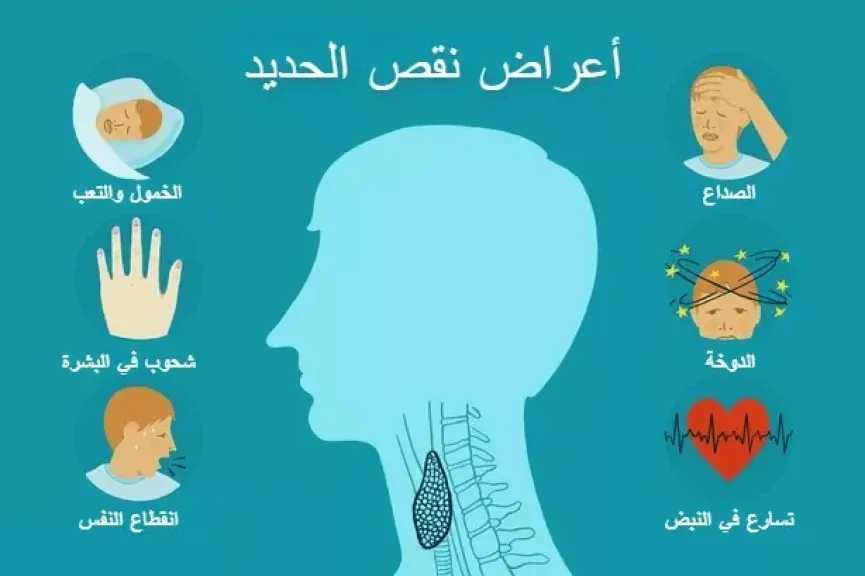 التغذية والدايت