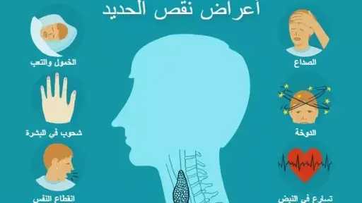 التغذية والدايت