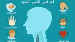 التغذية والدايت