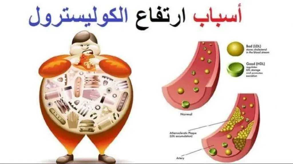 الأخبار