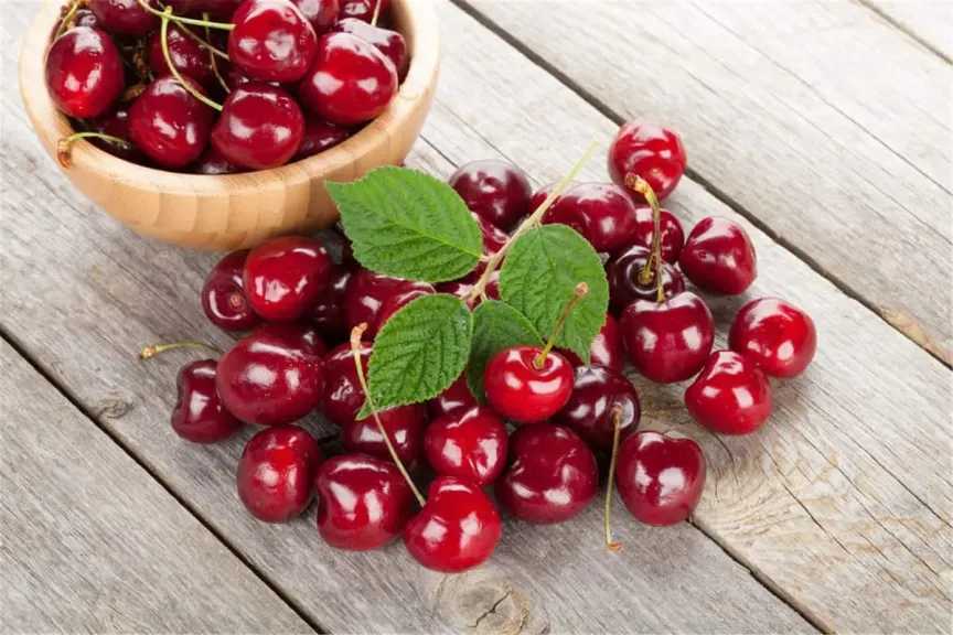 التغذية والدايت