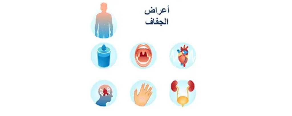 الأخبار