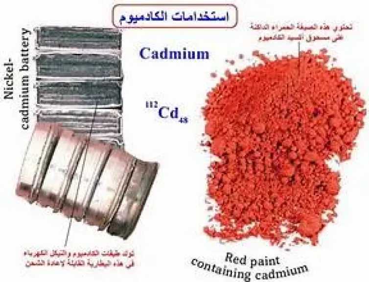 الأخبار