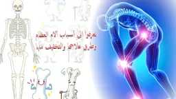 الأخبار