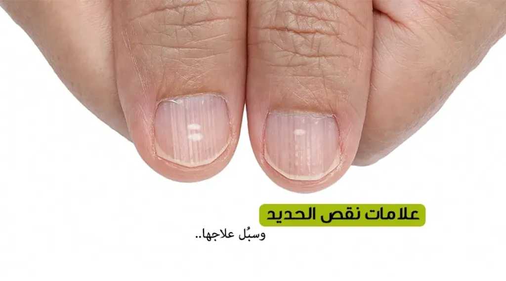 الأخبار