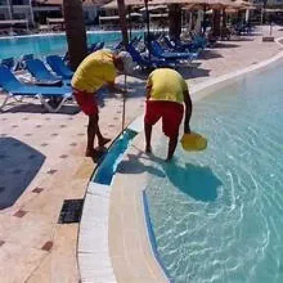 الأخبار