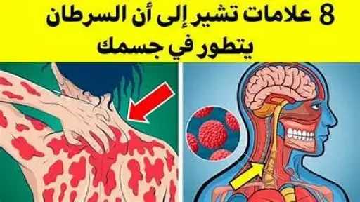 الأخبار