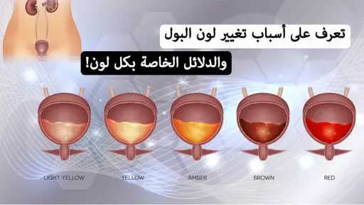 الأخبار