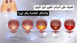 الأخبار