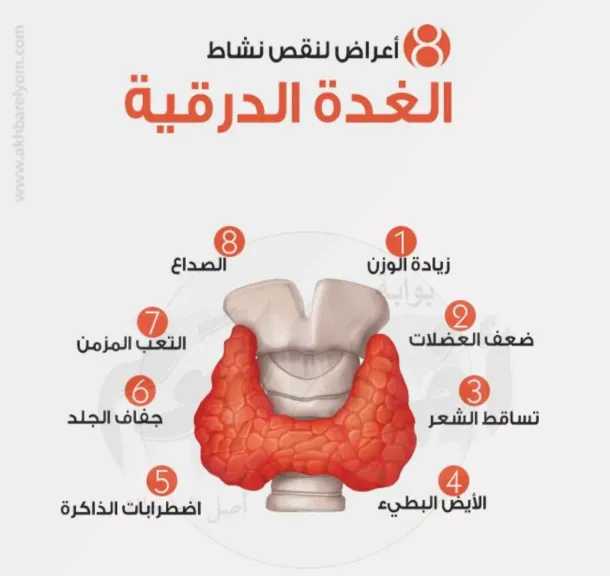 الأخبار