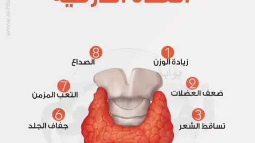 الأخبار