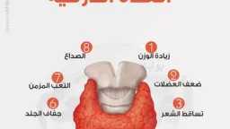 الأخبار